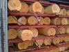 Вакуумные инфракрасные сушильные камеры EcoWood VIRK-5, VIRK-10 VIRK-10, рис.16