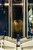 Бревнопильный станок Walter TD-450 KBA (37 + 45 кВт), рис.21